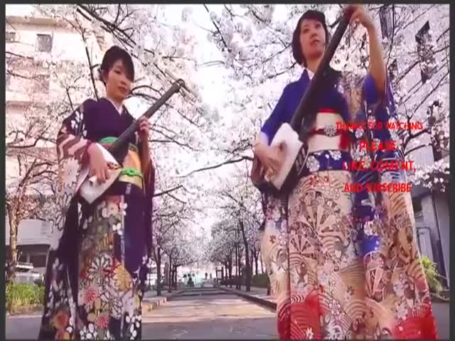 Girls Are Absolutely Killing It On Japanese Traditional Instruments – Shamisens