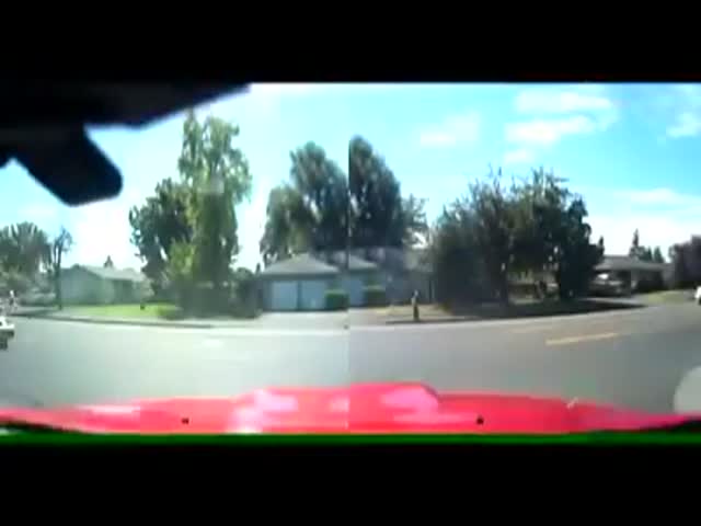 That Asshole Driver Had No Idea What Was Prepared For Him…