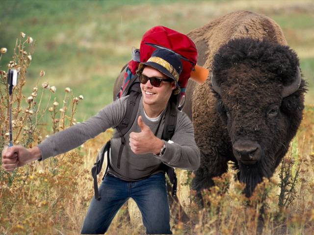 People Do All Kinds Of Idiotic Stuff In US National Parks…