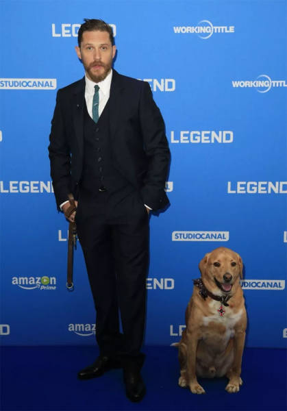 Tom Hardy Touched The Very Depths Of The Internet’s Soul With An Eulogy He Wrote For His Dog