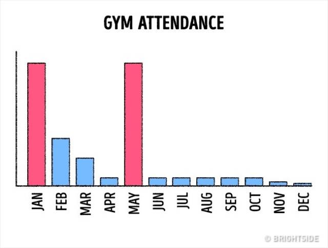 There Is No Way More Accurate To Illustrate Our Lives Than These Graphs