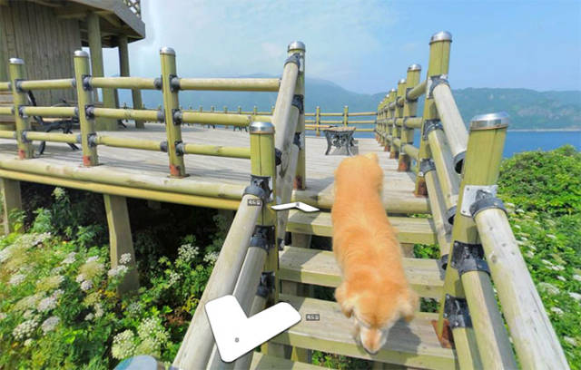 This Korean Dog Managed To Completely Photobomb Google’s Street Viewing