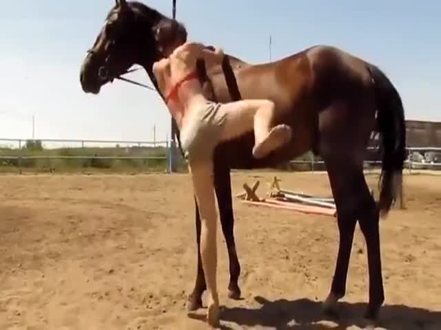 This Horse Just Couldn’t Watch The Cutie Struggle Anymore
