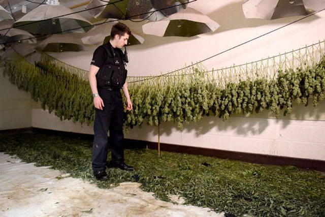 This Abandoned Nuclear Bunker Held A Multimillion Cannabis Factory