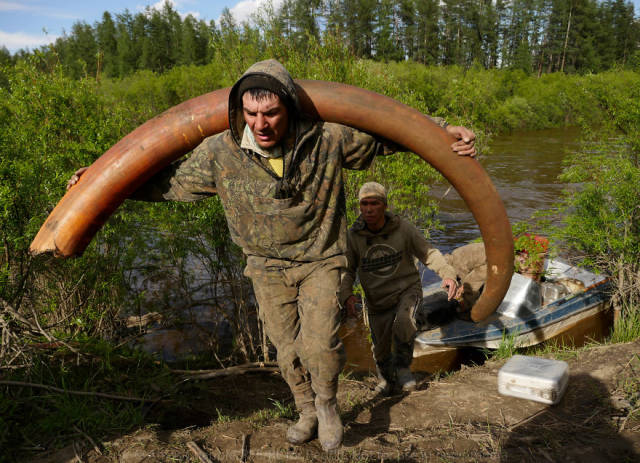 An Epic Adventure Of Illegal Search For Mammoth Tusks In Russia