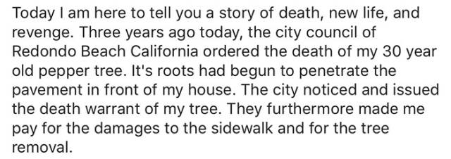 This Man Took “Eye For An Eye” Principle To The Next Level After His Favorite Tree Got Killed By City Council