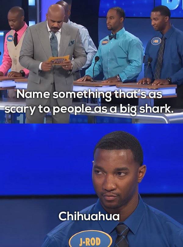 “Family Feud” Is Just Full Of Those Sweet-Sweet Fails
