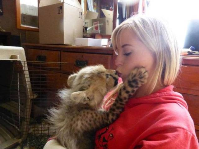 This Exotic Kitten Is Safe From Trophy Hunters Thanks To This Woman!