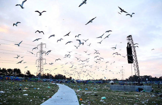 Glastonbury Revelers Have Left Tons Of Trash Behind Themselves