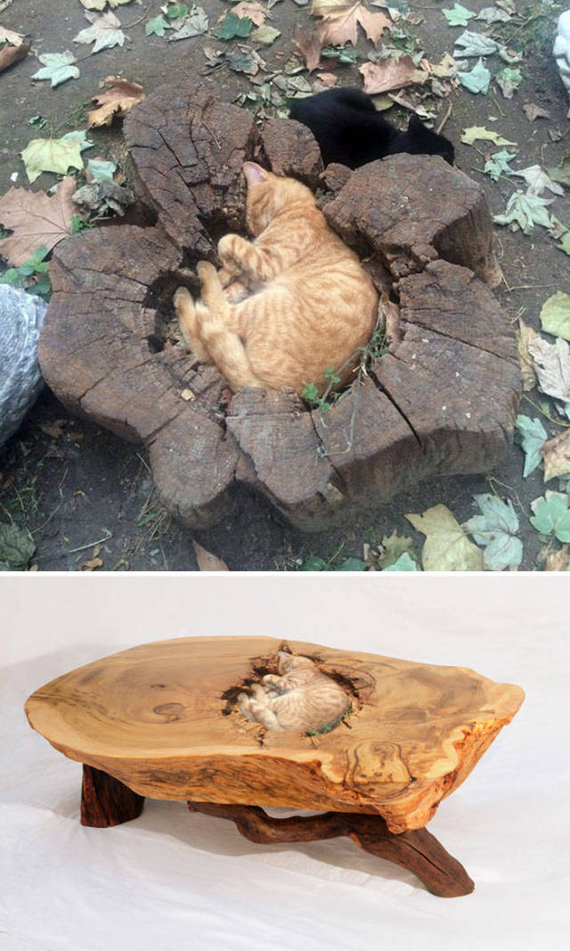 These Photoshops Are Far Better Than Their Prototypes!