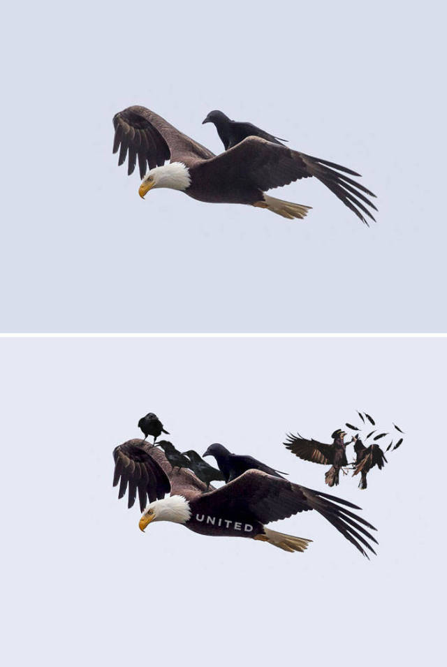 These Photoshops Are Far Better Than Their Prototypes!