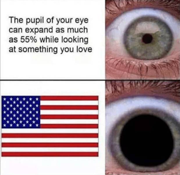 This Is How Truly Murican Memes Look Like!