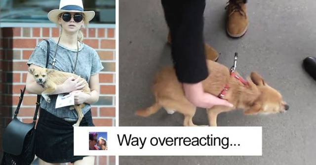 Jennifer Lawrence’s Overreaction To A Paparazzi Trying To Pet Her Dog Has Divided The Internet