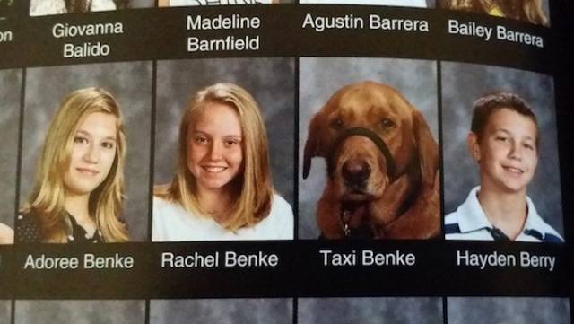 These Dogs Have More Than Deserved Their Places In School Yearbooks