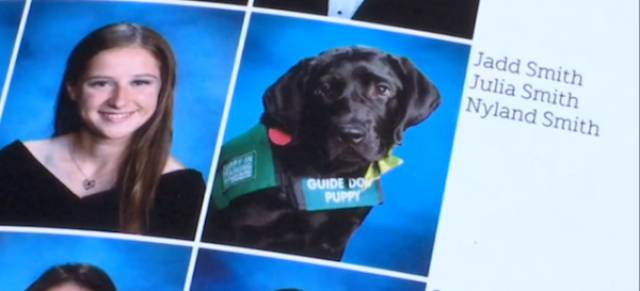 These Dogs Have More Than Deserved Their Places In School Yearbooks