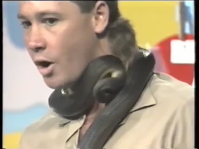 For Steve Irwin Snake Bite Was No Big Deal…