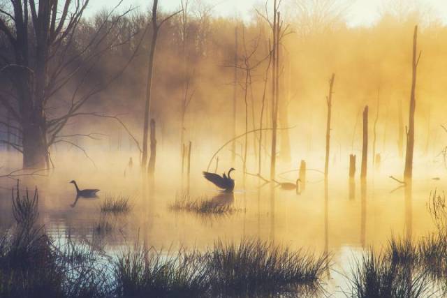 Nothing Shows Nature’s Beauty Better Than National Geographic’s Photo Contests!