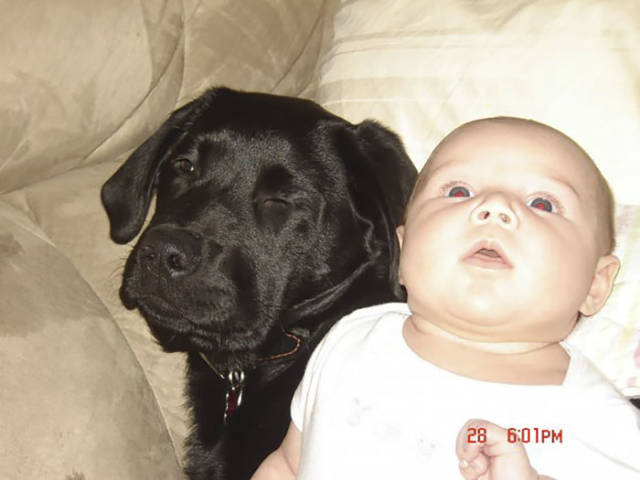 This Mom Thought That Having A Puppy Is Bad When You Have Kids, And How Wrong She Turned Out To Be!
