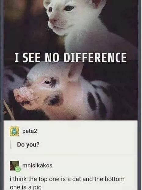 Funny Picdump