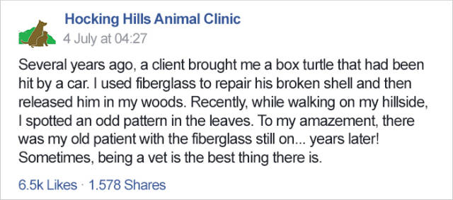 This Vet Has Never Expected Such An Outcome From A Treatment Of His Little Patient