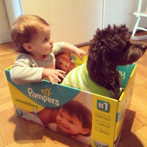 Kids And Pets Get Along So Well Because They’re Almost Identical