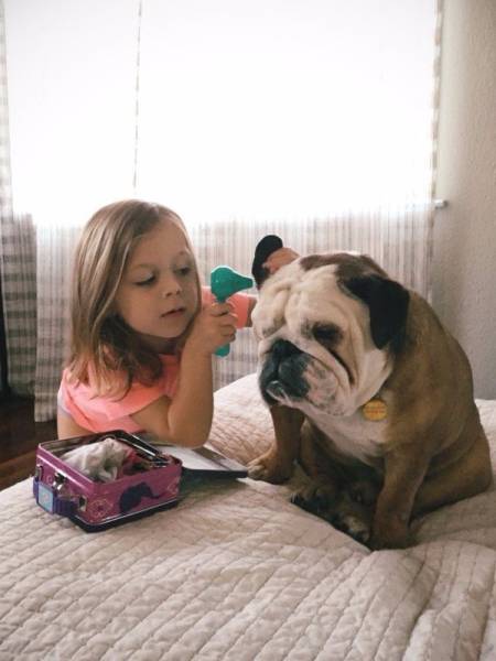 Kids And Pets Get Along So Well Because They’re Almost Identical