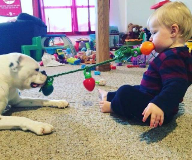 Kids And Pets Get Along So Well Because They’re Almost Identical