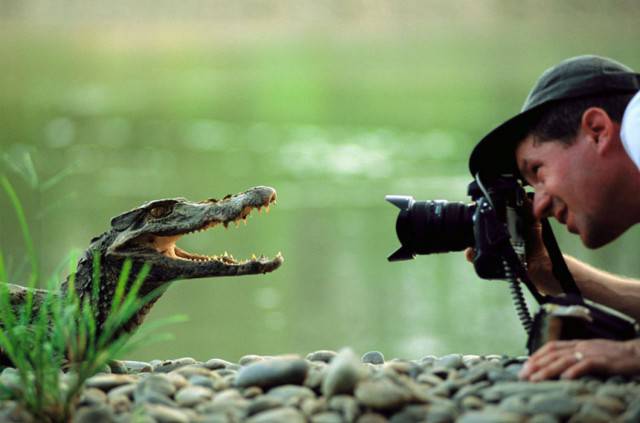 Being A Wildlife Photographer Is Basically To Become One With The Nature