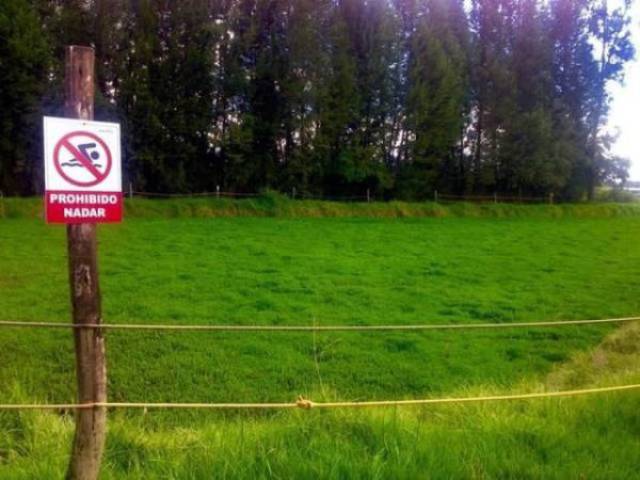 Don’t Try To Understand These Signs – Just Enjoy Them