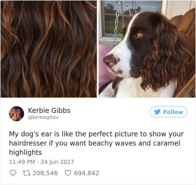 Let’s Face It, Some Women Are Very Good At Tweeting