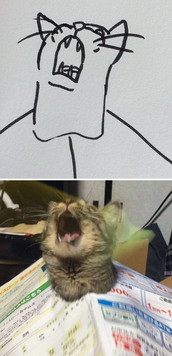 Although It’s Hard To Spot At A Glance, These Cat Drawings Are Actually Pretty Accurate!
