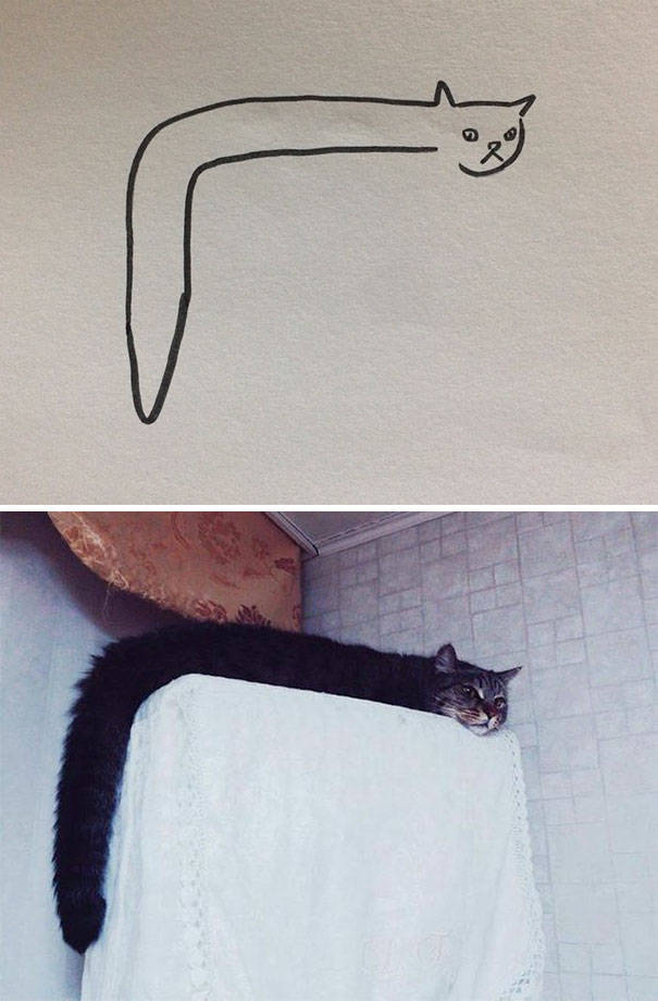 Although It’s Hard To Spot At A Glance, These Cat Drawings Are Actually Pretty Accurate!