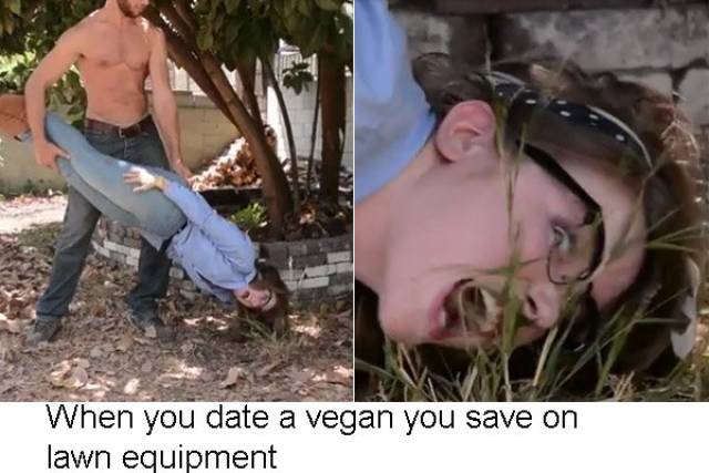 Vegans Are Always The Fresh Meat For New Memes!
