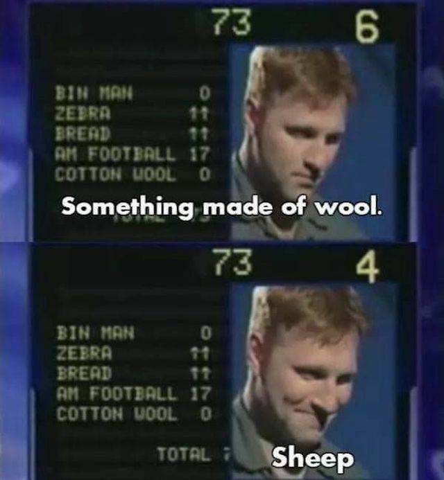 Game Shows Are Always Ready To Provide You With Some Sweet Facepalms