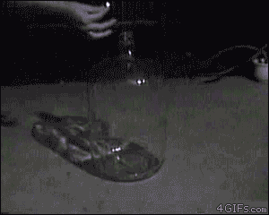 These GIFs Will Teach You More Than All Those Years In School Did