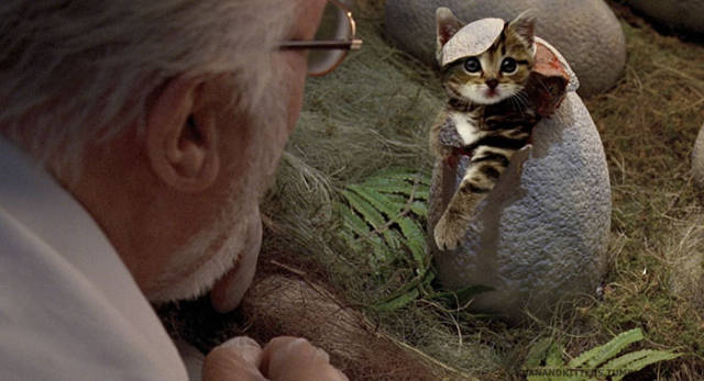 Jurassic Park Is Even Scarier (Or Cuter) Aith Giant Cats Instead Of Dinosaurs!