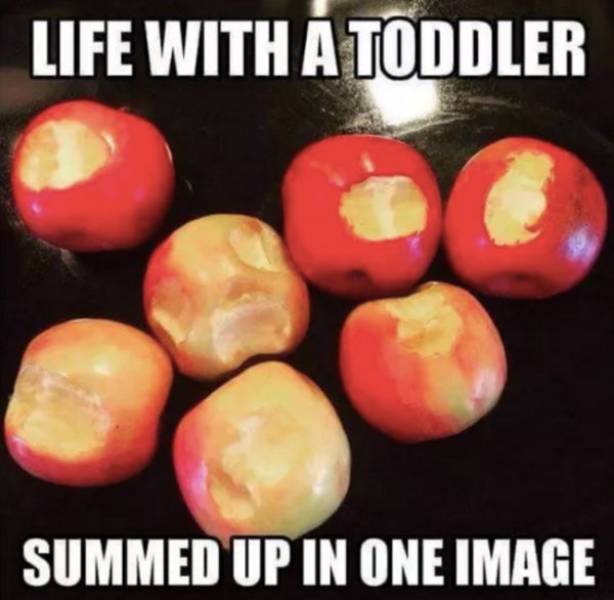 These Memes Prove That Toddlers Are Merciless Little Creatures