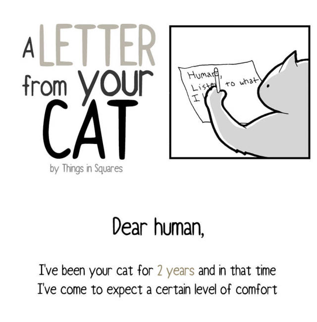 Cats Can Write Letters, And Here’s One