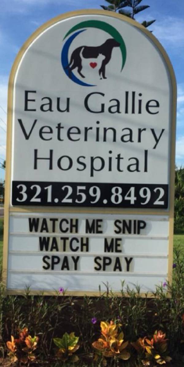 Observe These Creative Vet Clinics Advertisements