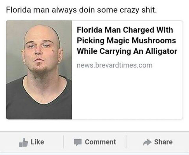 Florida Citizens Are At It Again
