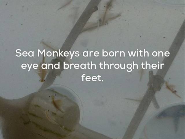 23 Strange Facts That Will Make You Think