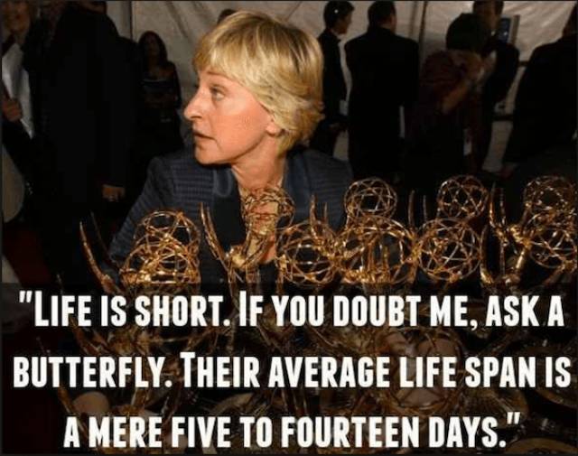 Ellen DeGeneres Speaks The Truth