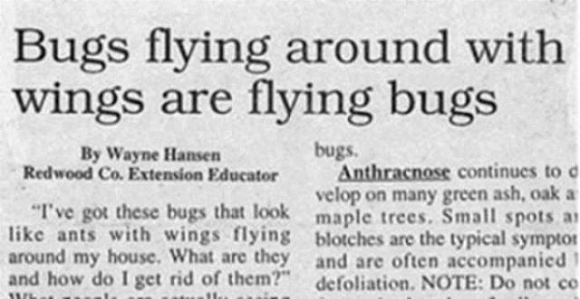 News Headlines That Will Make You Giggle