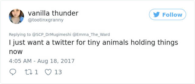 When Little Animals Hold Little Things – Twitter Just Can’t Hold It