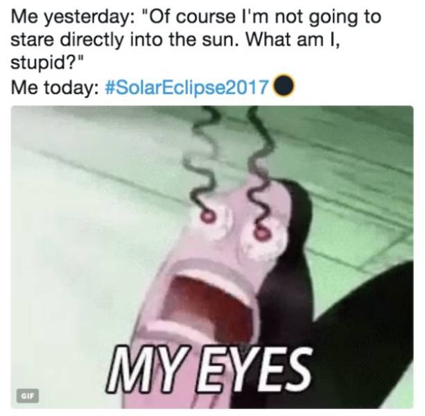 Eclipse Is Nothing Without The Memes About It (32 pics)