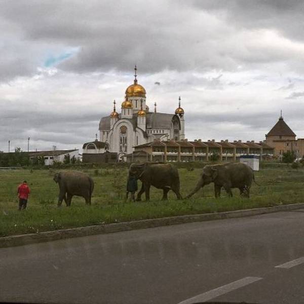 Russia: The Motherland Of The Weird And The 