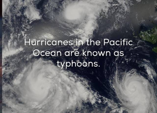 You Should Know More About Hurricanes