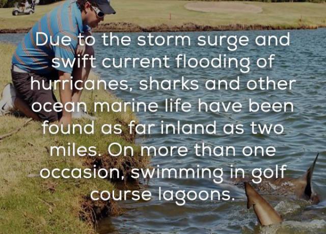 You Should Know More About Hurricanes