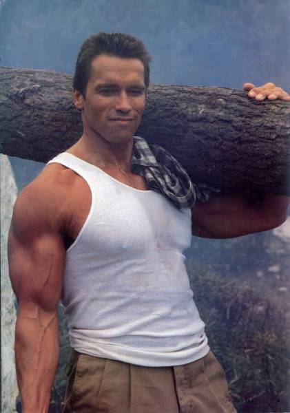 Arnie Had Quite A Career With 44 Years And More Than 50 Roles