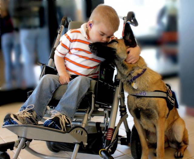 These Pictures Are So Heart-Melting